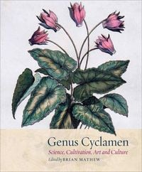 Produktbild: Genus Cyclamen