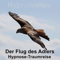 Produktbild: Der Flug des Adlers