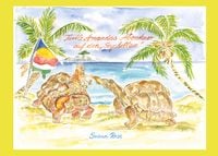 Produktbild: Turtle Amandas Abenteuer auf den Seychellen