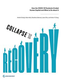 Produktbild: Collapse and Recovery