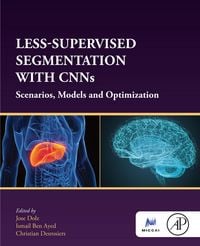 Produktbild: Less-Supervised Segmentation with CNNs