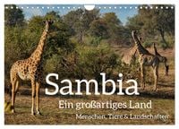 Produktbild: Sambia - ein gro&szlig;artiges Land (Wandkalender 2026 DIN A4 quer), CALVENDO Monatskalender