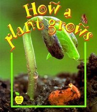 Produktbild: How a Plant Grows