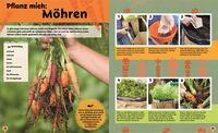 Auf ins Beet!