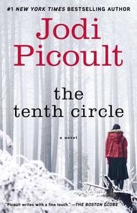 Bild vom Artikel The Tenth Circle vom Autor Jodi Picoult
