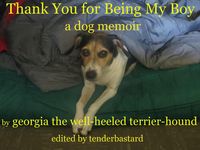 Produktbild: Thank You for Being My Boy - A Dog's Memoir