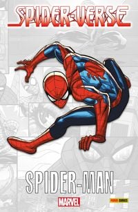 Produktbild: Spider-Verse: Spider-Man