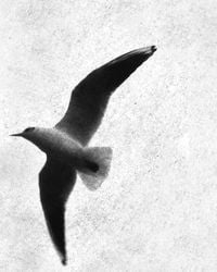 Produktbild: Martin Walde
