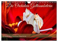 Produktbild: Die Orchideen Gottesanbeterin (Wandkalender 2027 DIN A4 quer), CALVENDO Monatskalender