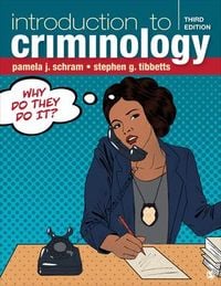 Produktbild: Schram, P: Introduction to Criminology
