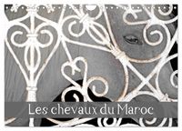 Produktbild: Les chevaux du Maroc (Calendrier mural 2026 DIN A4 vertical), CALVENDO calendrier mensuel