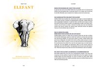 Praxisbuch Schamanische Krafttiere – Entdecke deine Seelenbegleiter