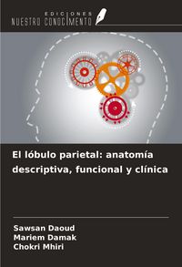 Produktbild: El l&oacute;bulo parietal: anatom&iacute;a descriptiva, funcional y cl&iacute;nica