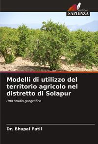 Produktbild: Modelli di utilizzo del territorio agricolo nel distretto di Solapur