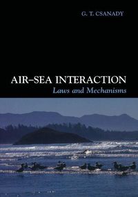 Produktbild: Air-Sea Interaction