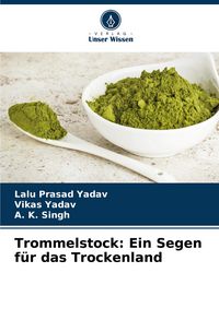 Produktbild: Trommelstock: Ein Segen f&uuml;r das Trockenland