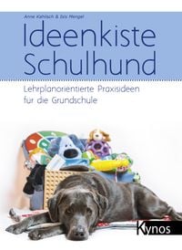 Produktbild: Ideenkiste Schulhund