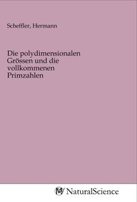 Produktbild: Die polydimensionalen Gr&ouml;ssen und die vollkommenen Primzahlen