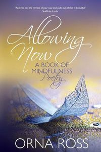 Produktbild: Allowing Now