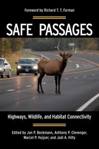 Produktbild: Safe Passages