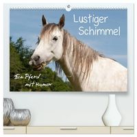 Produktbild: Lustiger Schimmel - ein Pferd mit Humor (hochwertiger Premium Wandkalender 2027 DIN A2 quer), Kunstdruck in Hochglanz