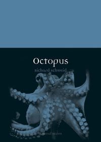 Produktbild: Octopus