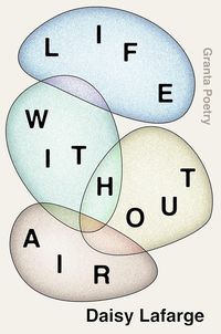 Produktbild: Life Without Air