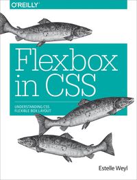 Produktbild: Flexbox in CSS