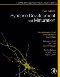 Produktbild: Synapse Development and Maturation