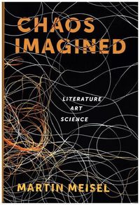 Produktbild: Meisel, M: Chaos Imagined