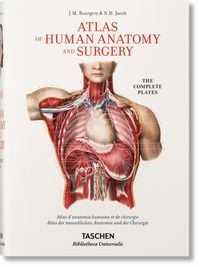 Bild vom Artikel Jean Marc Bourgery. Atlas of Human Anatomy and Surgery vom Autor Henri Sick