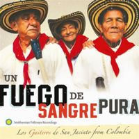 Bild vom Artikel Un Fuego de Sangre Pura vom Autor Los Gaiteros De San Jacinto