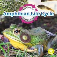 Produktbild: Amphibian Life Cycle