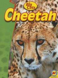 Produktbild: Cheetah