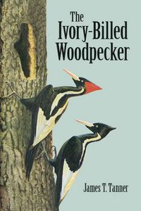 Produktbild: Ivory-Billed Woodpecker