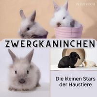 Produktbild: Zwergkaninchen