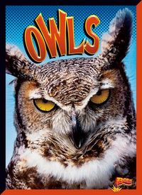 Produktbild: Owls