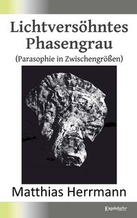Produktbild: Lichtvers&ouml;hntes Phasengrau