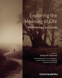 Produktbild: Exploring the Meaning of Life