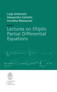 Produktbild: Lectures on Elliptic Partial Differential Equations