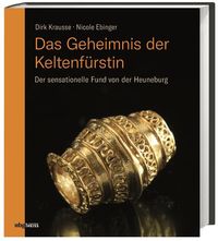 Bild vom Artikel Das Geheimnis der Keltenfürstin vom Autor Dirk Krausse