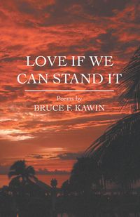 Produktbild: Love If We Can Stand It