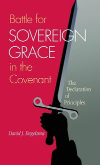 Produktbild: Battle for Sovereign Grace in the Covenant