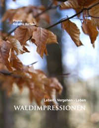 Produktbild: Waldimpressionen