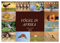Produktbild: V&ouml;gel in Afrika - Magie der Farben (Tischkalender 2027 DIN A5 quer), CALVENDO Monatskalender
