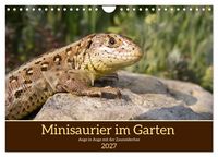 Produktbild: Minisaurier im Garten (Wandkalender 2027 DIN A4 quer), CALVENDO Monatskalender
