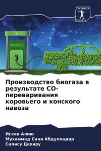 Produktbild: Proizwodstwo biogaza w rezul'tate CO-perewariwaniq korow'ego i konskogo nawoza