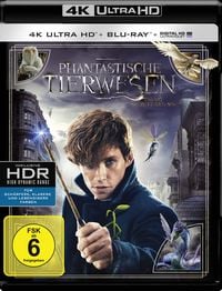 Produktbild: Phantastische Tierwesen und wo sie zu finden sind (4K Ultra HD) (+ Blu-ray)