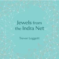 Produktbild: Jewels From The Indra Net