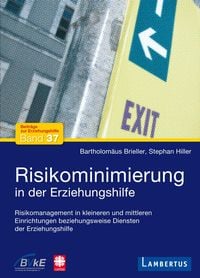 Produktbild: Risikominimierung in der Erziehungshilfe